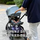 그레인바스켓 - 경산시 대구대로60길 5-6 | 절충형 유모차 백화점 입점된 유모차계의 애플 해외셀럽 이민정의 어파베이비 한달 후기