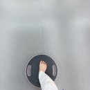 와동태권도 | 제 1회 안산 대회