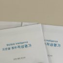 다중지능으로알아보는기질과진로 | [내돈내산] 대구 지문적성검사 2탄 찐 후기 ! IB다중지능교육연구소