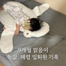 다산청아람어린이병원 | 다산 청아람어린이병원 9개월 아기 B형독감, 페렴, 모세기관지염, 40도 고열, 1인실 입퇴원 후기