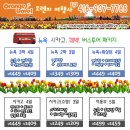 오렌지투어여행사