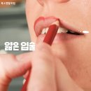 디자인톡스 네이버블로그