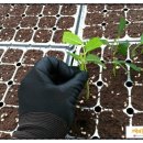 녹지농장 이미지