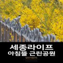 아침뜰근린공원 이미지