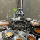 돗배갈매기