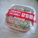 비티랩 이미지