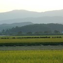 호수중앙교회 이미지