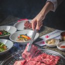 U-그린치과의원 티스토리