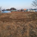 예산농원 - 예산군 충서로 244-1 | 예산농원