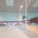 세븐일레븐(김해활천스마트점) | 인천 공항 터미널2 진에어 수완나품행 비행기 탑승 후기