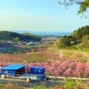 산동성왕손짜장 이미지