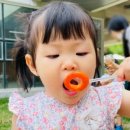 다솜어린이집 놀이터 이미지