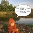 루미너스PC방 | 행복하다