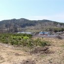 바위와 산성 이미지