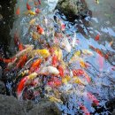 중흥S클래스 (시티주유소방면) | 제주공항 아침식사 베스트 TOP 10 추천