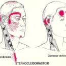 바디워크 이미지