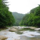 수원-0584 이미지