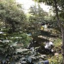 백운2리경로당 이미지