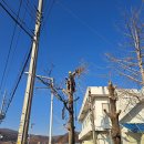 처리경로당 이미지