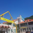 주은홍삼