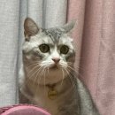 노랑통닭 화명점 | 10월.