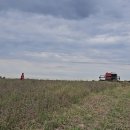 김종철농장 이미지