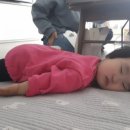 은경어린이집 이미지