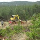 죽림삼거리 이미지