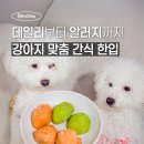 데일리 | 와글리 강아지맞춤간식 데일리·알러지 찐먹방 후기