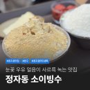정자교 | 분당 정자동 빙수 디저트 맛집 소이빙수 솔직 후기