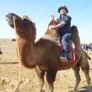 현기태양광 이미지