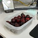 탐앤탐스중랑