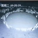 이강인농장 이미지