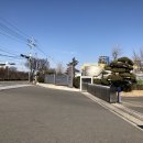 삼성에스디아이(주) 구미사업장 네이버블로그
