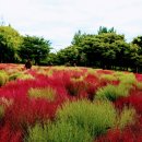 난지천공원 이미지