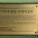 [제주도 가볼만한 곳] 제주도 출사여행!! 요즘 뜨는 "두맹이골목" 소개해 드릴게요! 이미지