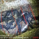 대부도바다낚시터 이미지