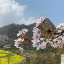 장촌민박 | 관광 산업화 발전할 '시기'가 딱 맞다