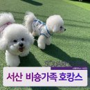 스퀘어독스 서산점 이미지
