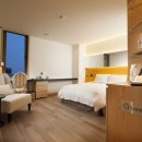 호텔 그라모스 서울강남 이미지