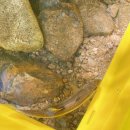 수리봉매점 이미지