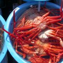 대게풍년 이미지