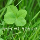 금동몰가구