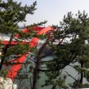 탁구동아리 이미지