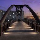 마장천 국제뉴스