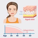 웰니스 메디케어 이미지
