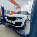 헤드보그 이미지