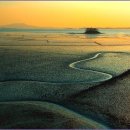 순천만 풍경 이미지