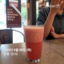비발디 향기나무 이미지