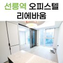 급행역공인중개사사무소 | 리에바움 선릉역 오피스텔이 강남에서 인기가 많은 이유는!?